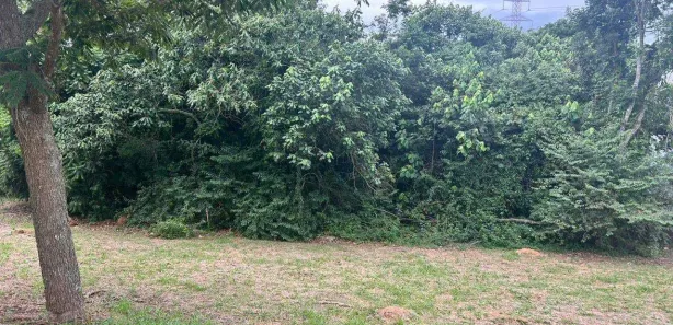 Lote/Terreno à venda, 300m² no Vila Oliveira, Mogi das Cruzes