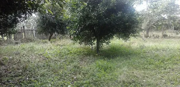 Lote/Terreno à venda, 1000m² no Caju, Nova Santa Rita