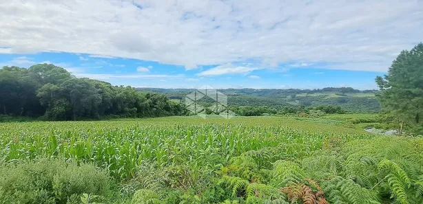 Fazenda/Sítio com 1 Quarto à venda, 208m² no Área Rural de Farroupilha, Farroupilha