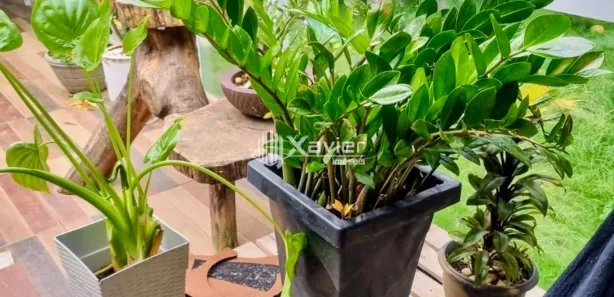 Fazenda/Sítio com 3 Quartos à venda, 800m² no Comunidade Urbana de Reta Grande, Guarapari