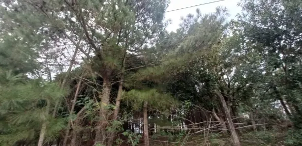 Lote/Terreno à venda, 3000m² no Krahe, Viamão