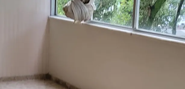 Apartamento com 4 Quartos à venda, 200m² no Centro, Salvador