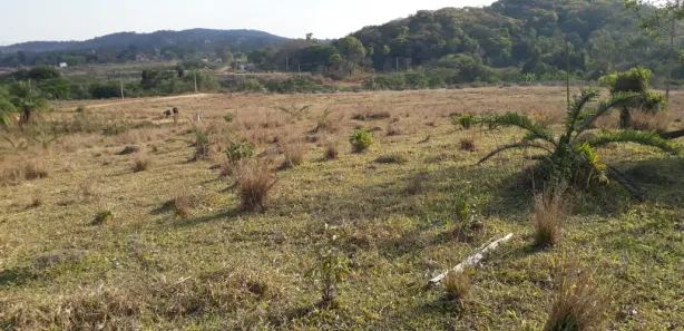 Lote/Terreno à venda, 28500m² no Centro, São José da Lapa