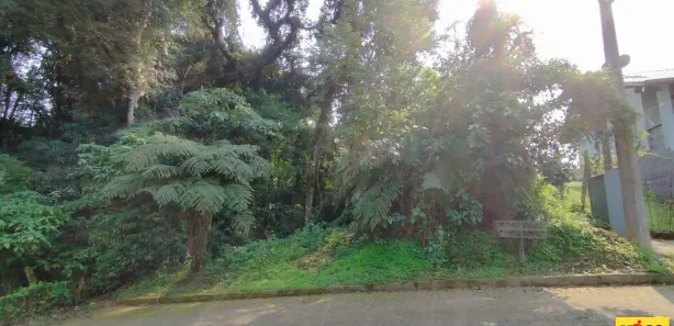 Lote/Terreno à venda, 379m² no , Nova Petrópolis