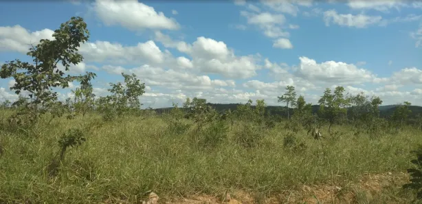 Lote/Terreno à venda, 20000m² no , Cordisburgo