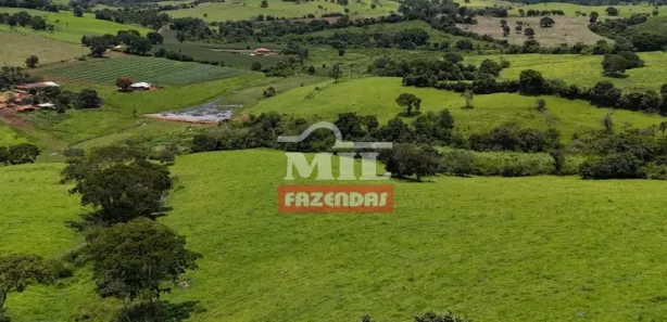 Fazenda/Sítio à venda, 20000m² no Área Rural de Inhumas, Inhumas