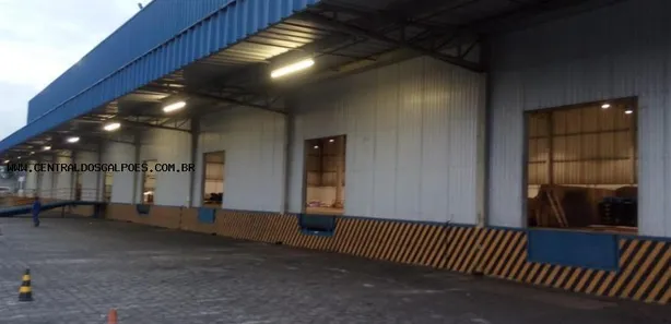 Galpão/Depósito/Armazém para alugar, 5000m² no , Conceição do Jacuípe
