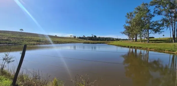 Fazenda/Sítio com 3 Quartos à venda, 10000m² no , Cafelândia