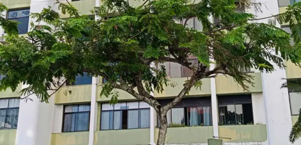 Apartamento com 3 Quartos à venda, 181m² no Jardim Apipema, Salvador