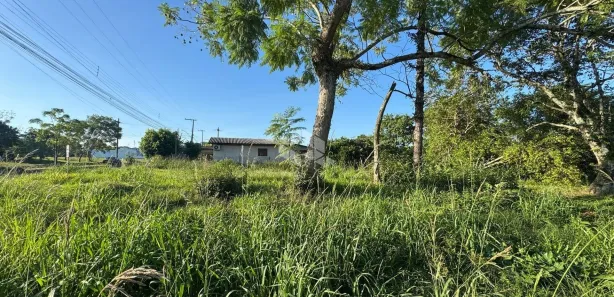Lote/Terreno à venda, 360m² no Cipriano de Oliveira, Vera Cruz