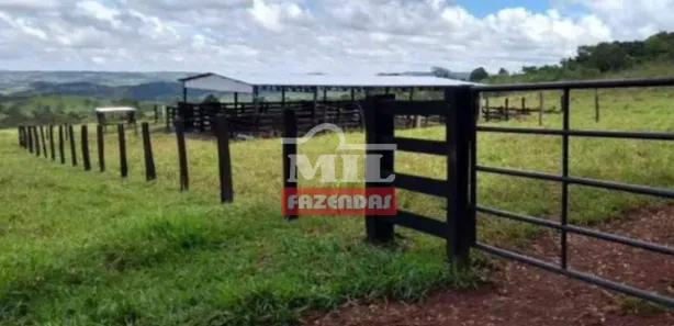 Fazenda/Sítio à venda, 500m² no , Campo Limpo de Goiás