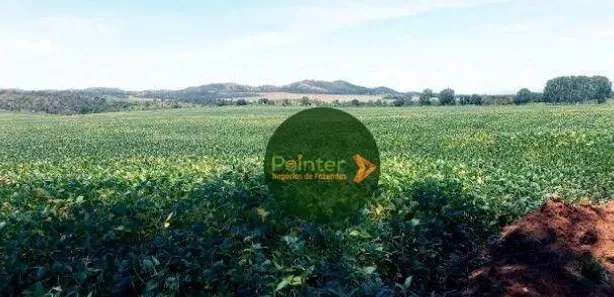 Fazenda/Sítio à venda, 5953200m² no , Niquelândia