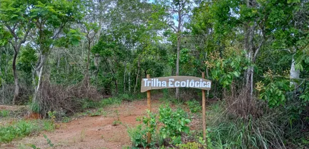 Lote/Terreno à venda, 20000m² no , Araçaí