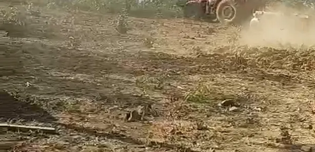 Fazenda/Sítio à venda no , Buritis