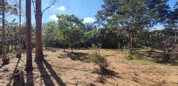 Fazenda/Sítio com 1 Quarto à venda, 10000m² no Chácaras Ipanema, Valparaíso de Goiás