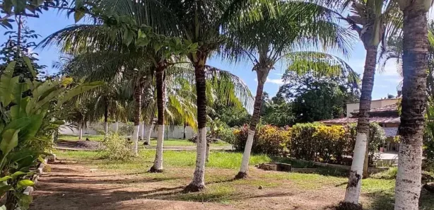 Lote/Terreno à venda, 150m² no Loteamento Bosque Ponta da Areia, Itaparica