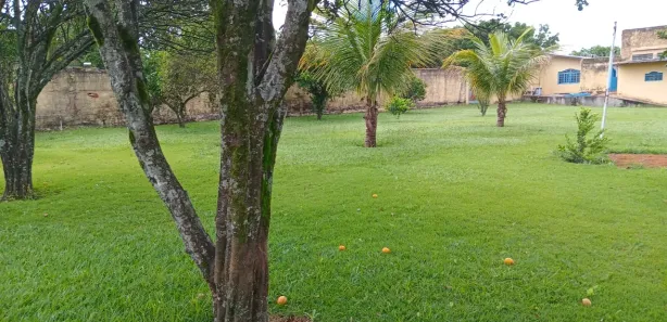 Fazenda/Sítio com 3 Quartos à venda, 6000m² no , Brasília