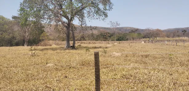 Fazenda/Sítio à venda no , Buritis