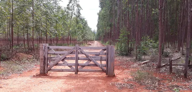 Lote/Terreno à venda, 20000m² no Cordisburgo, Cordisburgo