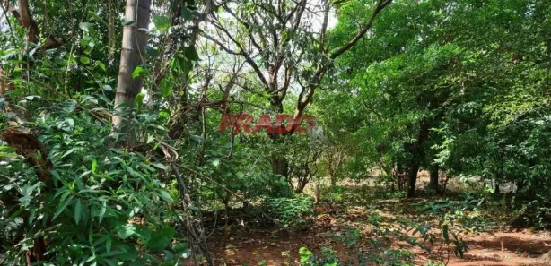 Fazenda/Sítio para alugar, 6052m² no , Paiçandu