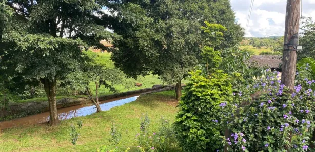 Fazenda/Sítio à venda, 800m² no , Nova Veneza