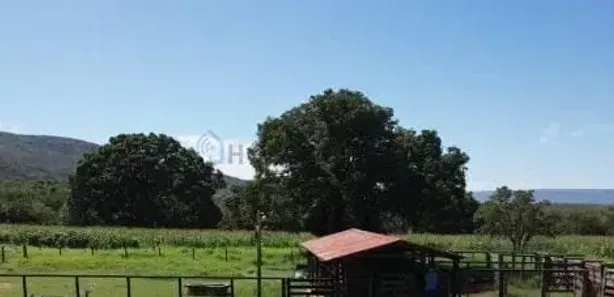 com 3 Quartos à venda, 180m² no , Buritis