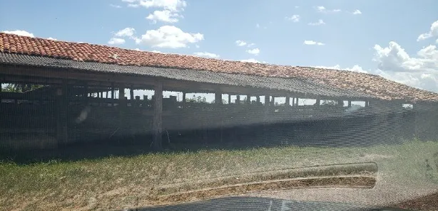 Fazenda/Sítio com 4 Quartos à venda, 300000m² no , Itapecuru Mirim