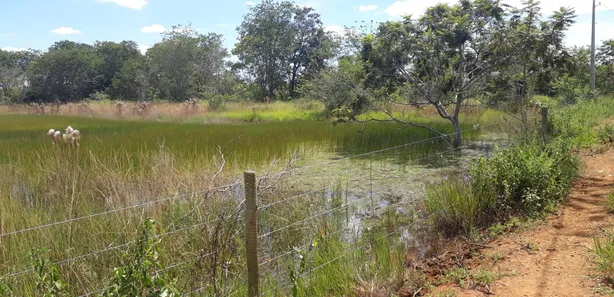 Lote/Terreno à venda, 20000m² no , Araçaí
