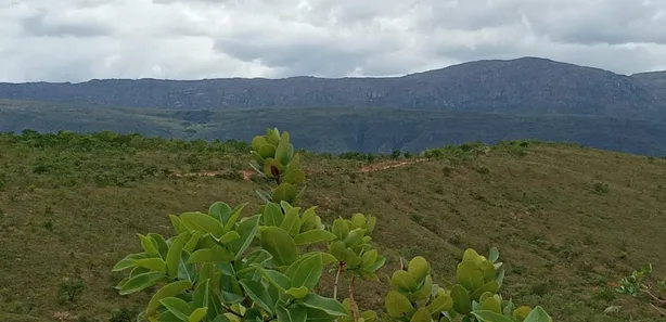 Fazenda/Sítio com 1 Quarto à venda, 20000m² no Serra do Cipó, Santana do Riacho