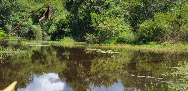Lote/Terreno à venda, 20000m² no Zona Rural, Fortuna de Minas