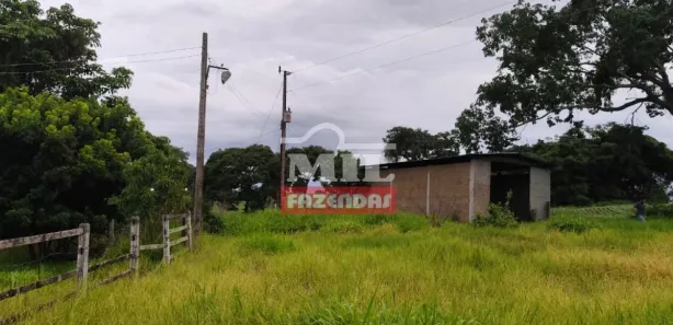 Fazenda/Sítio à venda, 330000m² no , Silvânia