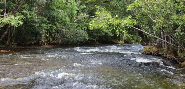Lote/Terreno à venda, 200000m² no , Presidente Figueiredo