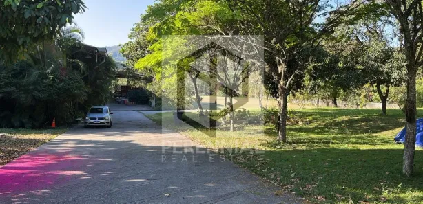Galpão/Depósito/Armazém para alugar, 5560m² no Taquara, Rio de Janeiro
