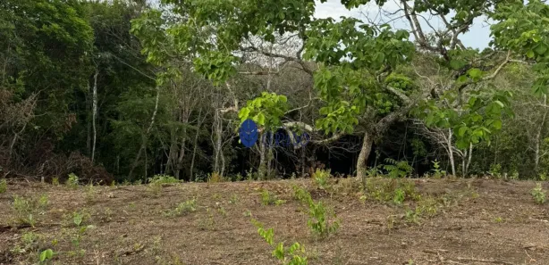 Fazenda/Sítio com 1 Quarto à venda, 3000m² no , Gameleira de Goiás