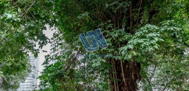 Lote/Terreno à venda, 1214m² no Horto Florestal, Salvador