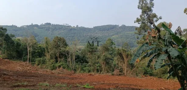 Lote/Terreno à venda, 20000m² no Linha Olinda, Nova Petrópolis