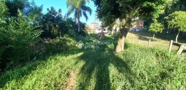 Lote/Terreno à venda, 999m² no Bela Vista, Caxias do Sul