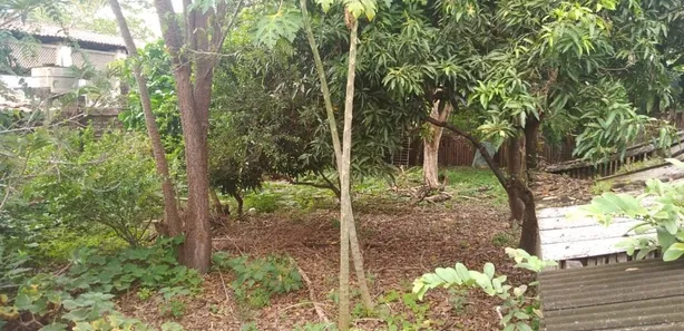 Lote/Terreno à venda, 1995m² no Centro, Bacabal