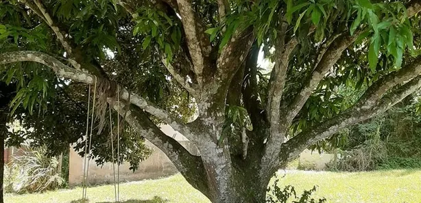 Fazenda/Sítio com 2 Quartos à venda, 2040m² no Centro, Iguaba Grande