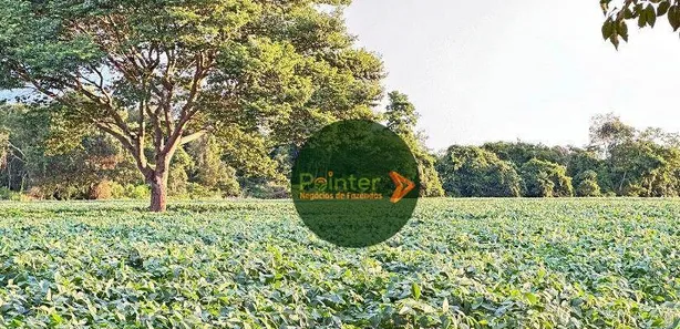 Fazenda/Sítio à venda, 290400m² no , Itaberaí