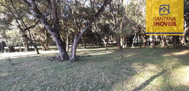 Ponto Comercial para alugar, 465m² no São Caetano, Balsa Nova