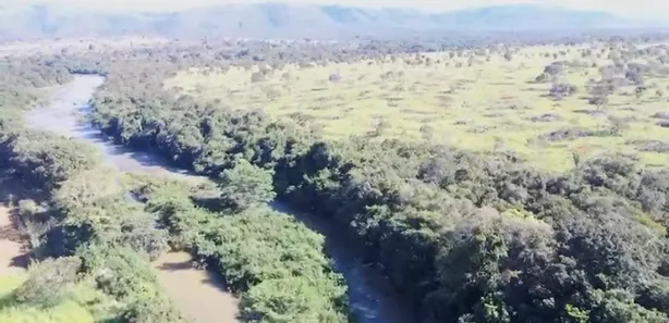 Fazenda/Sítio à venda no , Buritis