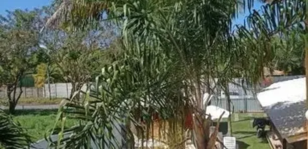 Casa com 20 Quartos para venda ou aluguel, 600m² no Stella Maris, Salvador