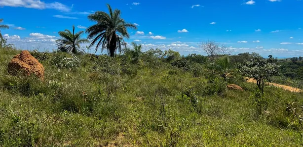 Lote/Terreno à venda, 20000m² no , Araçaí