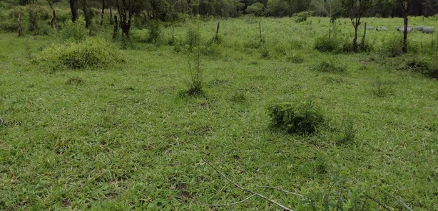 Lote/Terreno à venda, 20000m² no , Fortuna de Minas