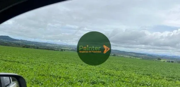 Fazenda/Sítio à venda, 5614400m² no , Jaraguá