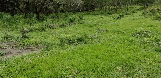 Lote/Terreno à venda, 20000m² no , Fortuna de Minas