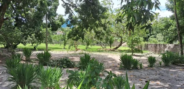Fazenda/Sítio com 4 Quartos à venda, 5000m² no Hararas da Peniche, Tanguá
