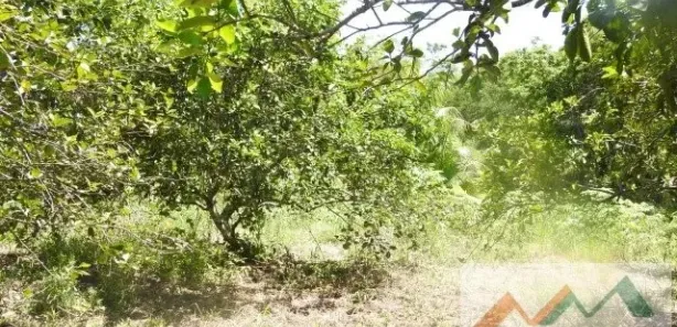 Fazenda/Sítio com 2 Quartos à venda, 86000m² no , Tanguá