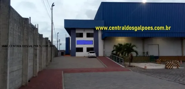 Galpão/Depósito/Armazém para alugar, 5000m² no , Conceição do Jacuípe